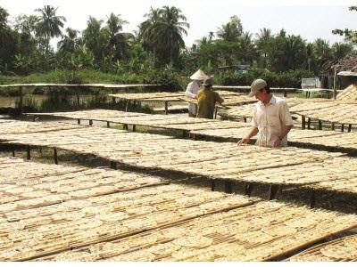 Nghề Ép Chuối Khô Giúp Người Dân Thoát Nghèo