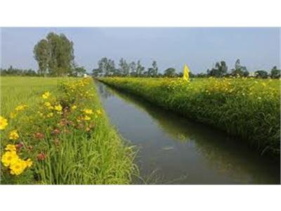 Hội An Hướng Đến Xây Dựng Nền Nông Nghiệp Sinh Thái