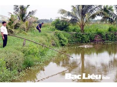 Mô Hình Nuôi Đa Canh Đa Con Kết Hợp Cho Thu Nhập Cao Và Bền Vững