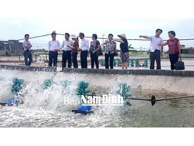 Hội Nông Dân Xã Hải Phúc Hỗ Trợ Nông Dân Nuôi Trồng Thủy Sản