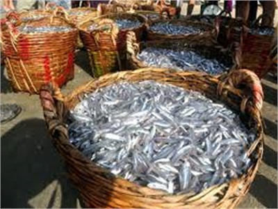 Sản Lượng Nước Mắm Đạt Thấp