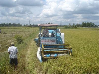 Xuất Khẩu Gạo Cuối Năm Lại Gặp Khó