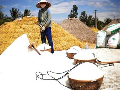 Được Mùa, Muối Ế!
