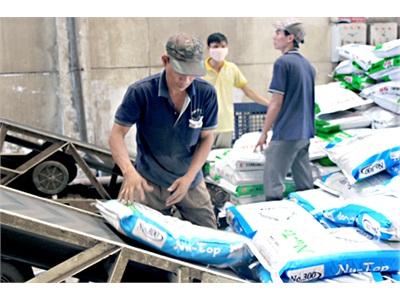 Sản Xuất Thức Ăn Chăn Nuôi Doanh Nghiệp FDI Chiếm Lĩnh
