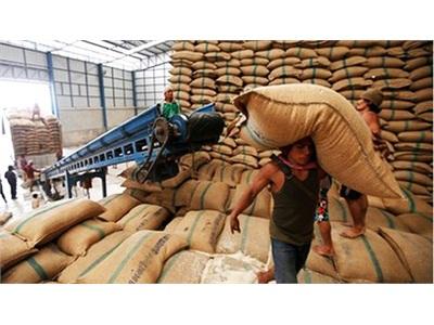 90% Gạo Dự Trữ Của Thái Lan Có Nguy Cơ Hỏng, Thiệt Hại Cực Lớn
