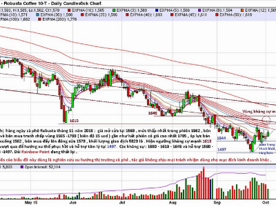 Phân tích kỹ thuật thị trường cà phê ngày 03/10/2015