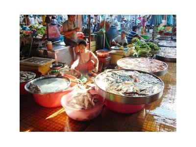 Cá nuôi đội lốt cá đồng