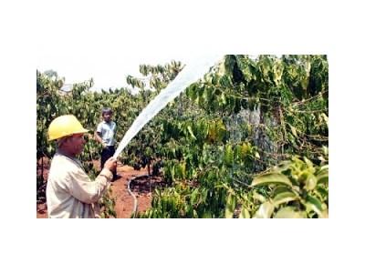 Hơn bốn nghìn tỷ đồng phát triển cà phê bền vững tại Lâm Đồng