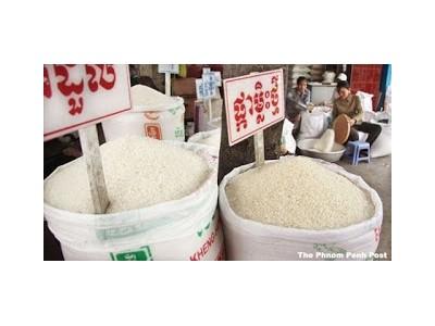 Xuất khẩu gạo của Campuchia tăng 37% trong chín tháng qua