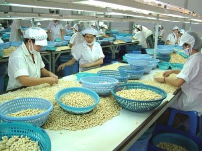 10 tháng xuất khẩu nông lâm thủy sản đạt 24,61 tỷ USD