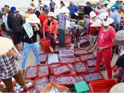 Hợp sức vươn khơi