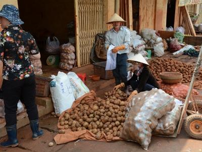 Cấm khoai tây Trung Quốc vào chợ Đà Lạt không thể dùng biện pháp cảm tính