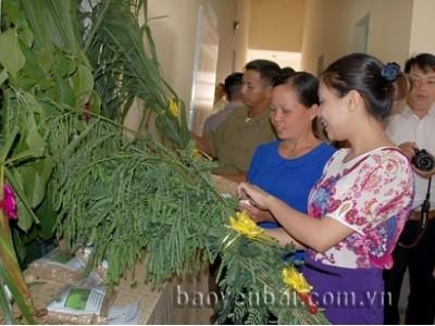 Diễn đàn Khuyến nông @ Nông nghiệp với chủ đề phát triển chăn nuôi đại gia súc theo hướng an toàn, bền vững vùng trung du và miền núi phía Bắc