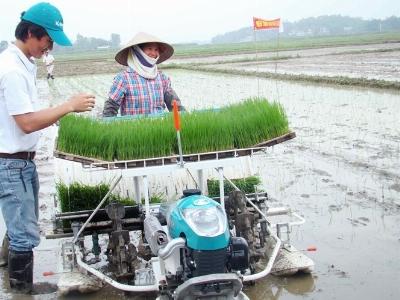 Lại đối phó vụ đông xuân ấm