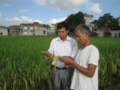 Hỗ trợ lãi suất mua phân bón trả chậm cho nông dân