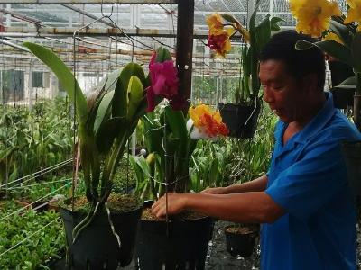 Truyền nhân của làng hoa nổi tiếng bậc nhất Sài Gòn