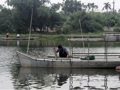 Phát triển nuôi cá lồng trên sông ở Hải Lăng