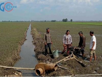 Lũ nhỏ, nông dân gặp khó