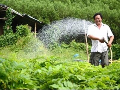 Làm giàu với mô hình kinh tế tổng hợp