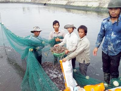 Khẳng định mũi nhọn kinh tế thuỷ sản