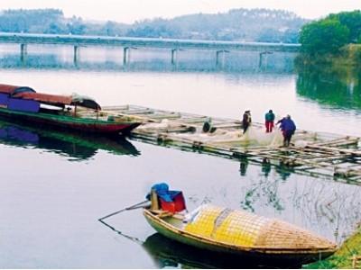 Dân xã Yên Bình lo nguồn nước nuôi cá