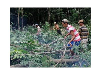 Xóa vòng luẩn quẩn cho nông dân