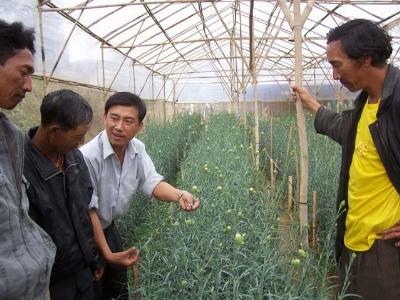 Đơn Dương huyện có 6.400 nông dân giỏi
