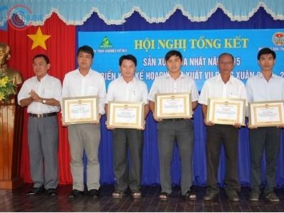 Nông dân yên tâm sản xuất lúa Nhật