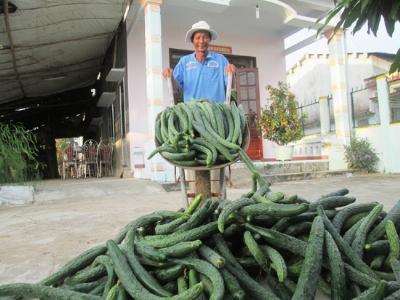 Thu hút đầu tư vào nông nghiệp nông thôn đánh thức tiềm năng