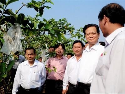 Xây dựng nền nông nghiệp hiện đại gắn với xây dựng NTM
