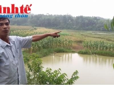 Lúa chết do nước thải của Công ty TNHH Môi trường Phú Hà