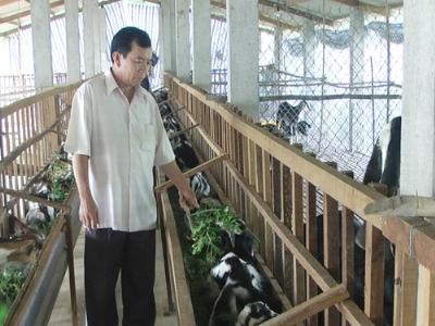 Trang trại nuôi dê mô hình sản xuất nông nghiệp hiệu quả