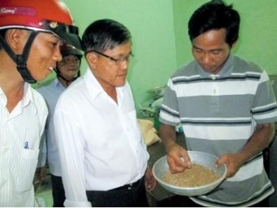 Nông dân xã An Xuyên hiệu quả nuôi heo từ đệm lót sinh học