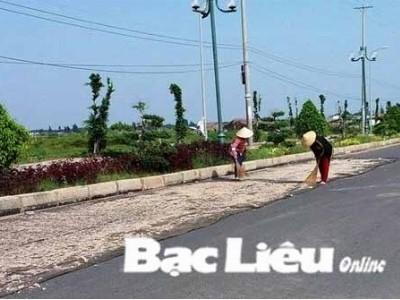 Ngư dân Bạc Liêu trúng vụ ruốc biển