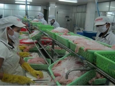 VN Pangasius muốn có sàn giao dịch TMĐT cho cá tra