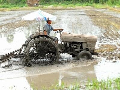 Thành lập Trung tâm Cơ khí nông nghiệp Tháp Mười