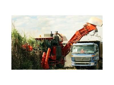 Đường Hoàng Anh Gia Lai làm tại Lào có thể hưởng thuế 0% khi về nước