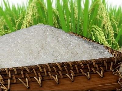 Xây dựng thương hiệu gạo Việt là quá trình lâu dài