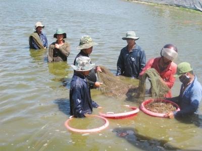 Thủy sản liên tục bị cảnh báo