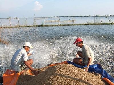 Hội thảo chế biến thức ăn thủy sản sạch