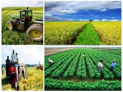 Đầu tư 1.500 tỷ đồng xây dựng nông thôn mới giai đoạn 2016 - 2020