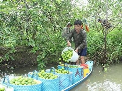 Sức sống mới ở Đông Thạnh