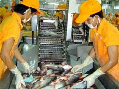 Xuất khẩu cá tra cả năm dự kiến đạt khoảng 1,7 tỷ USD