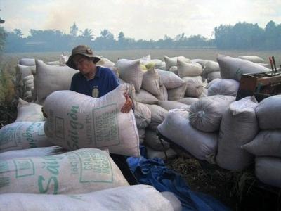 Xuất khẩu gạo giảm cả giá và lượng