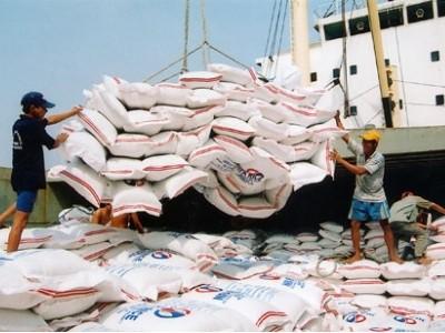 Nhiều đơn hàng xuất khẩu, giá lúa gạo tăng mạnh