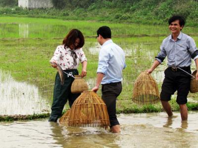 Du khách về xã nông thôn mới làm... nông dân