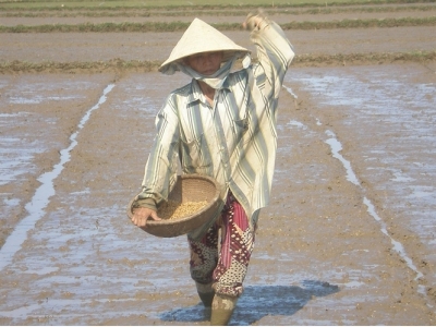 Lợi và hại khi sạ dày