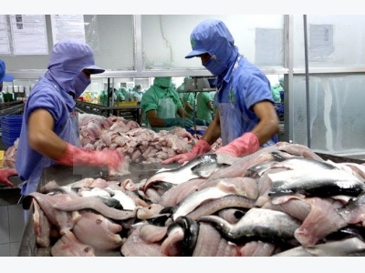 U.S. to make decision on fish imports from Vietnam next year