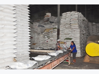 Xuất khẩu gạo tăng, triển vọng mở thị trường mới