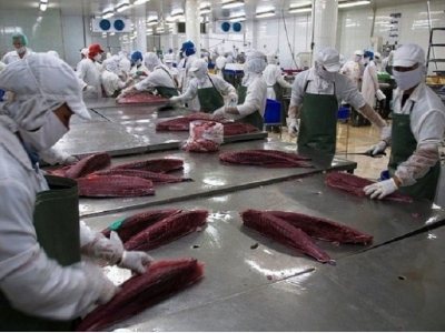 Vietnam seafood exporters: EU yellow card an opportunity to improve